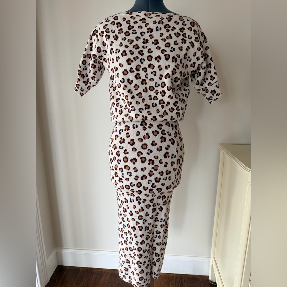 Ann Taylor Animal Print Skirt Set
